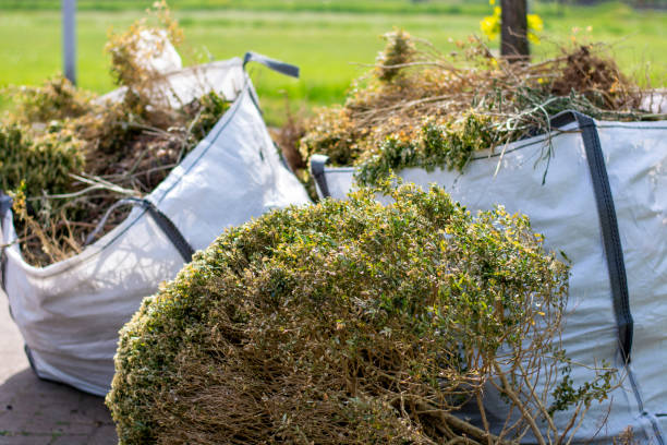 Best Construction Debris Removal  in Lakewood, NY